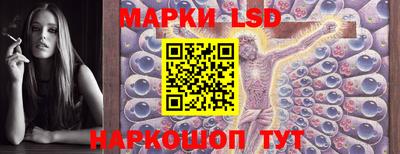 дмт Ставрополь